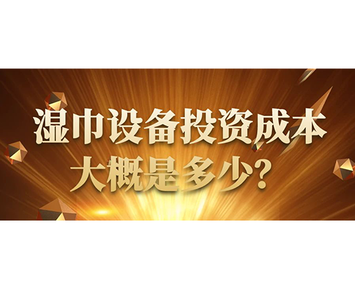 濕巾設(shè)備投資成本大概是多少？